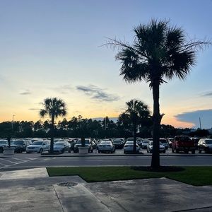 Meet your Posher, Shay